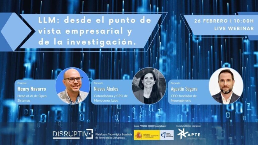 Modelo de Lenguaje Extenso, LLM. Pautas para empresas e investigadores