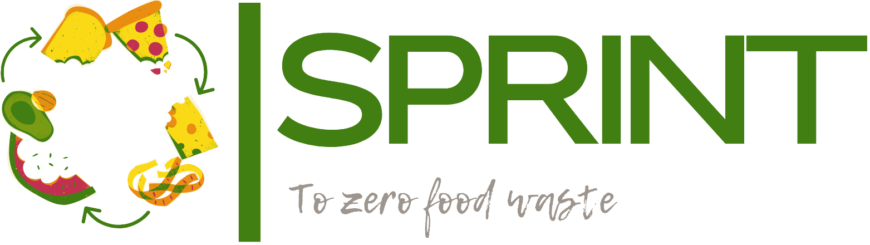 Jornada de cierre del proyecto SPRINT